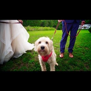 Meet your Posher, Adam